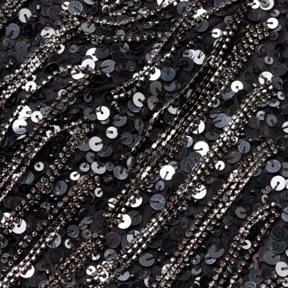 Reena Embellished Fringe Sequined Mini Dress - Picture 5 of 6